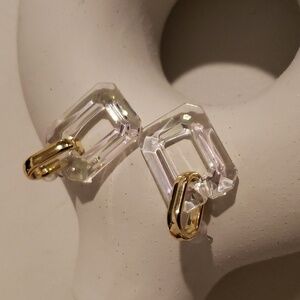 Chain Link Acrylic Earrings.
